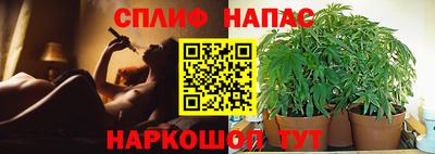 эйфоретик Будённовск