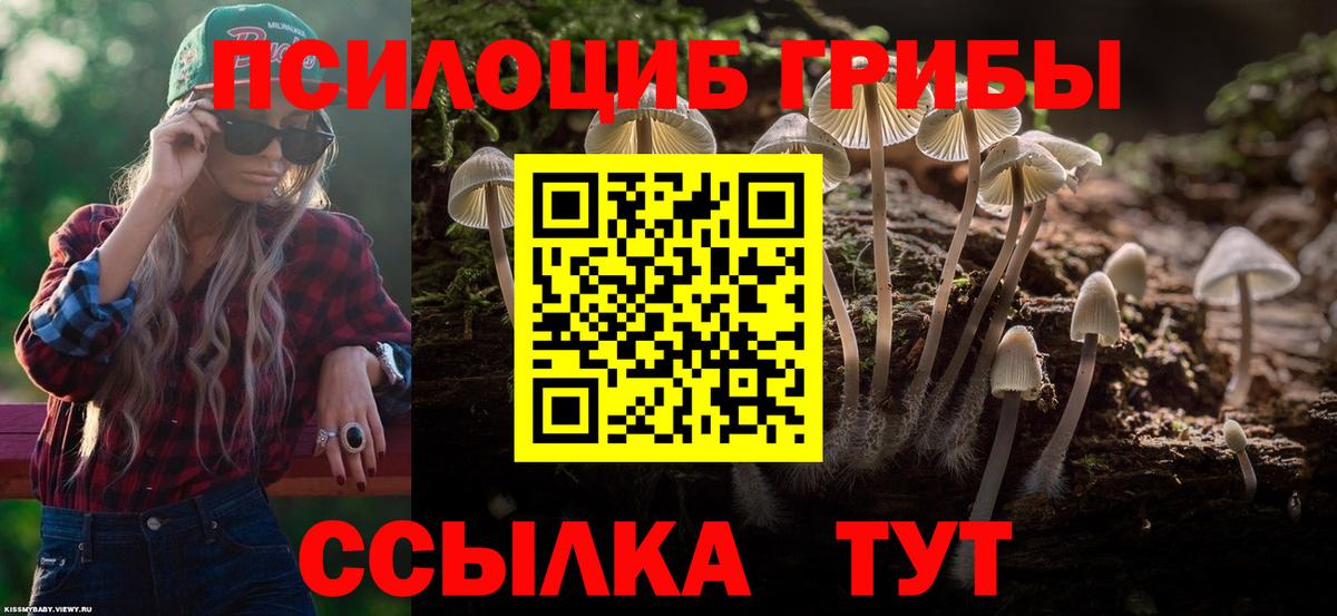 Петровск  дарнет шоп  Вход с VPN  Псилоцибиновые грибы Psilocybe 