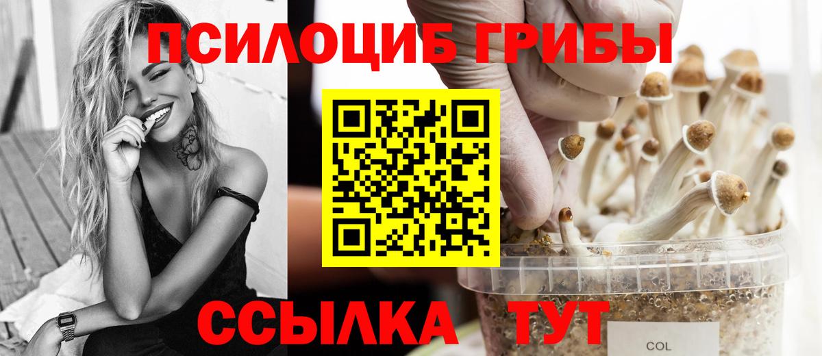 Галлюциногенные грибы GOLDEN TEACHER Петровск